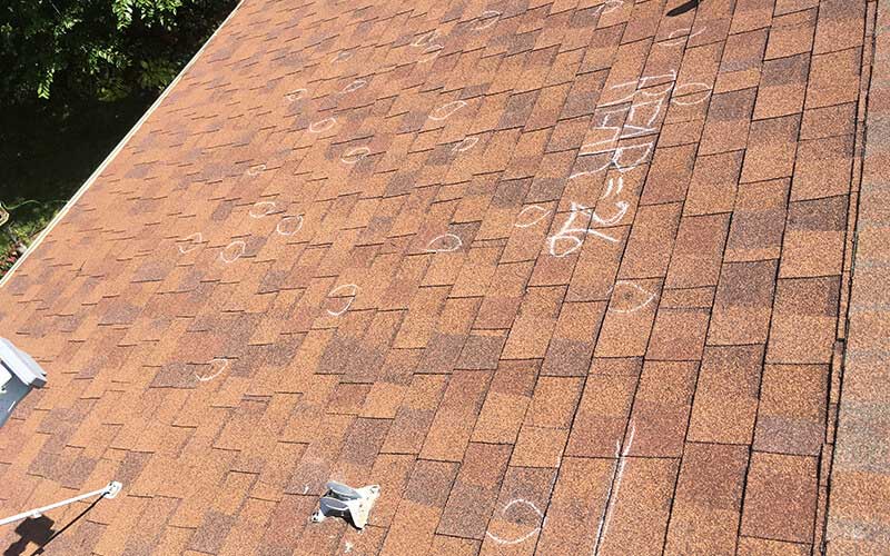 Roof Replacement Insurance